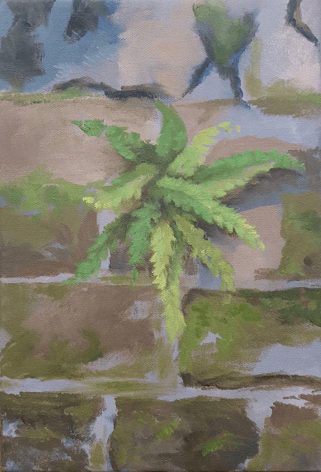 Griseo Olea